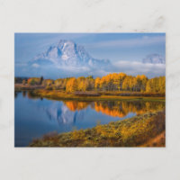 Eau | Oxbow Bend Jackson Wyoming
