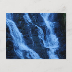 Carte Postale Eau Plus Précieuse Que L'Or
