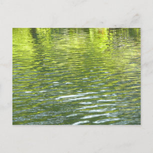 Carte Postale Eaux de Oak Creek Jaune et Vert Photo de Nature