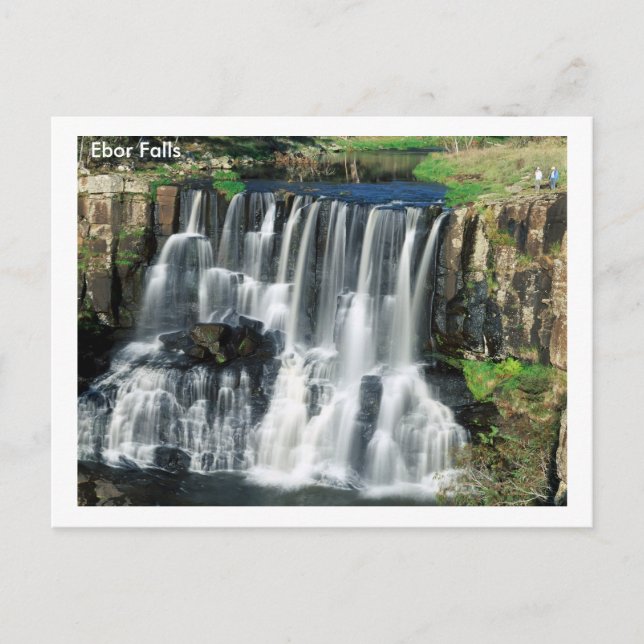 Carte Postale Ebor Falls (Devant)