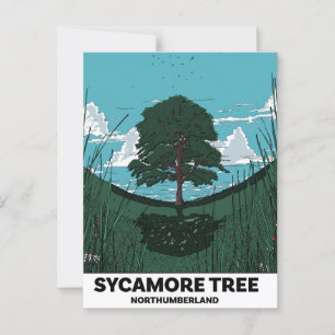 Carte Postale Écart de l'arbre Sycamore