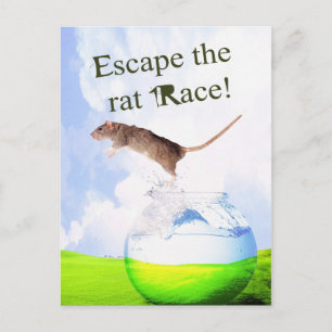 Carte Postale Échappez À La Course Au Rat !