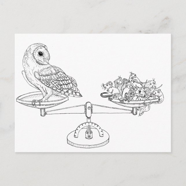 Carte Postale Echelle avec chouette et souris (Devant)