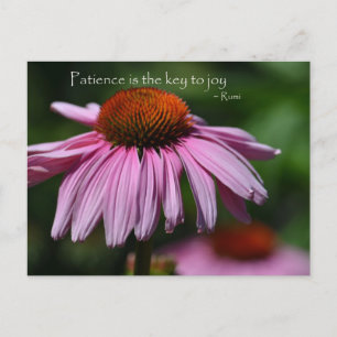 Carte Postale Echinacea avec citation de patience