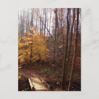 Carte Postale Éclairez mon chemin