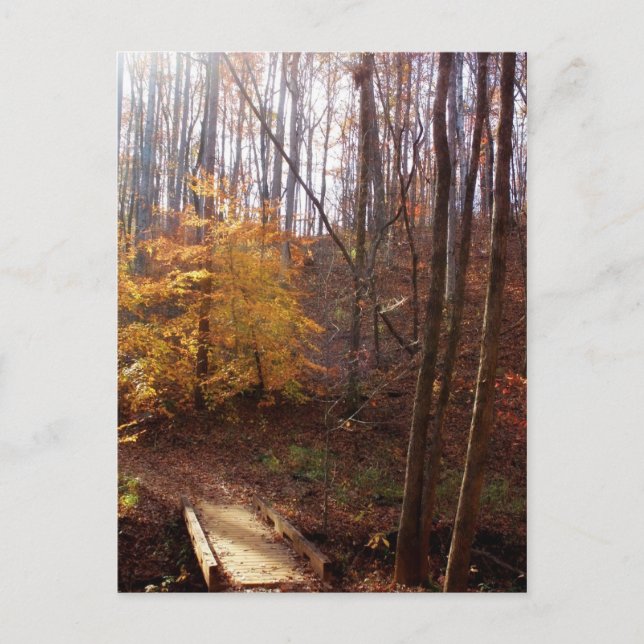 Carte Postale Éclairez mon chemin (Devant)