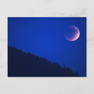 Carte Postale Éclipse lunaire au-dessus de la forêt Zoug, Suis