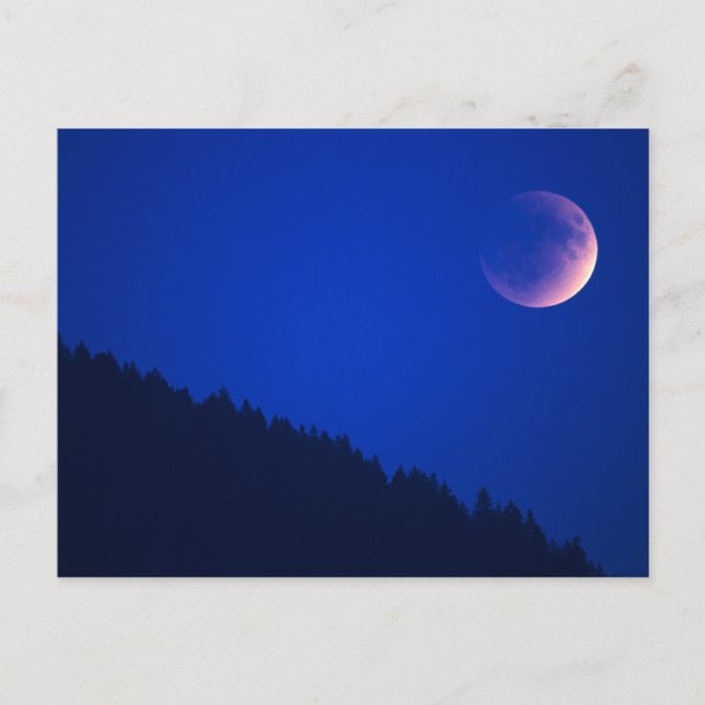 Carte Postale Éclipse lunaire au-dessus de la forêt | Zoug, Suis (Devant)