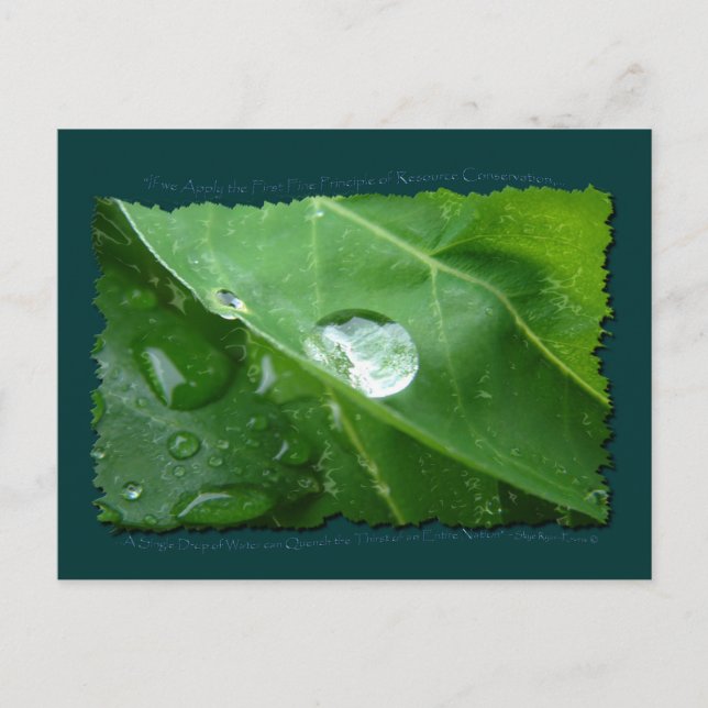 Carte Postale ECO CONSERVATION DE L'EAU CONVIVIALE Cadeaux et en (Devant)