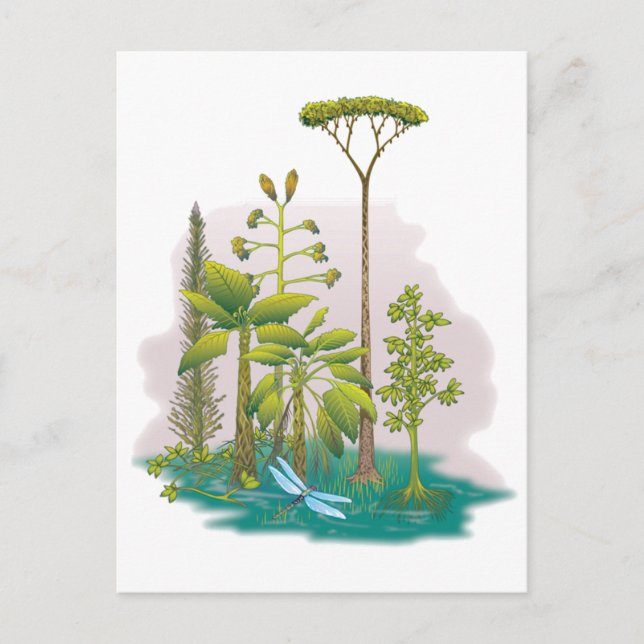 Carte Postale Écologie : plante un arbre - (Devant)