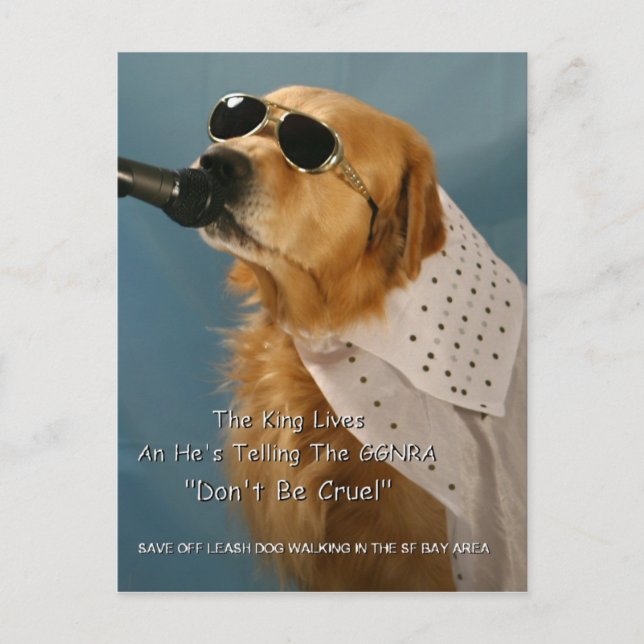 Carte Postale Économisez La Marche Du Chien Sans Leash Sénateur  (Devant)