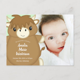 Carte Postale écossais Highland Baby shower de vache vert