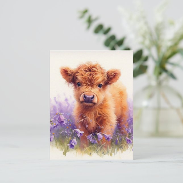 Carte Postale Écossais Highland Vache Calf Violet Fleurs sauvage (Debout devant)