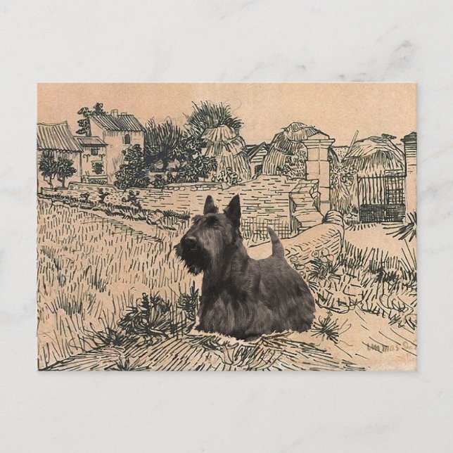 Carte postale écossaise Terrier (Devant)