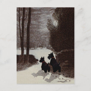 Carte Postale Ecosse sur la nuit d'hiver surréaliste