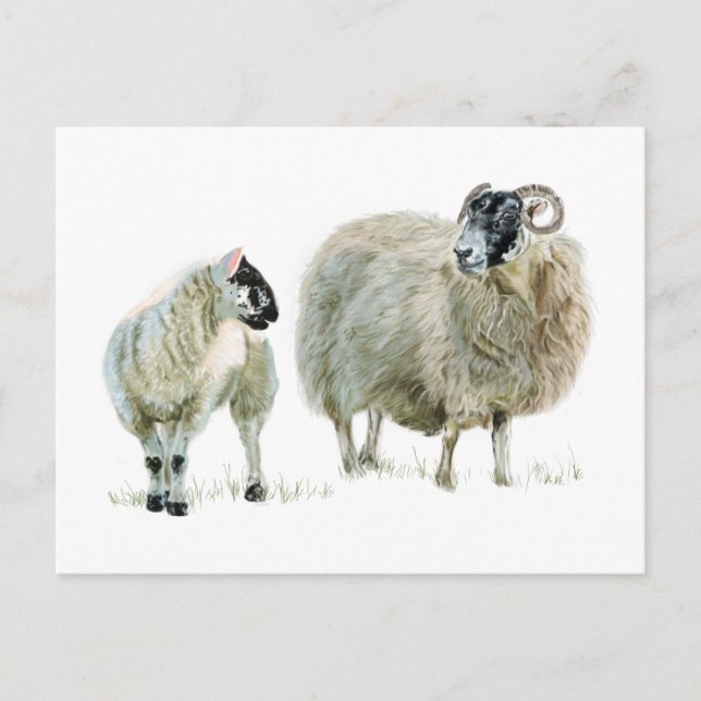 Carte Postale Écoutez toujours votre Maaaa ! (Devant)