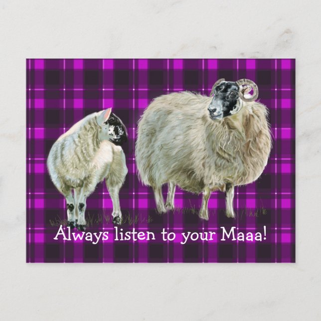 Carte Postale Écoutez toujours votre Maaaa ! (Devant)