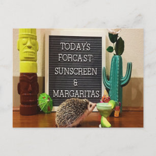 Carte Postale Écran solaire et Margaritas