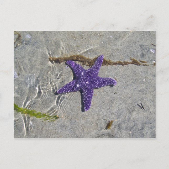 Carte Postale Écre (Devant)