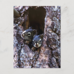 Carte Postale Écriture biblique