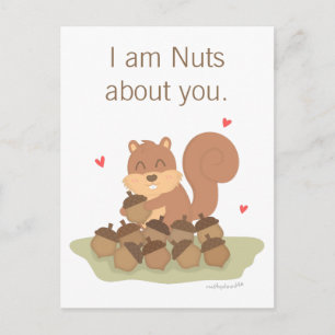 Carte Postale Écrous Mignons Fou De Toi Jeu De Mots Amour Humour