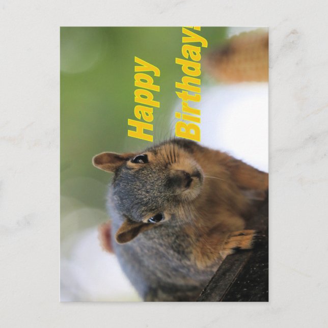 Carte Postale Écureuil (Devant)