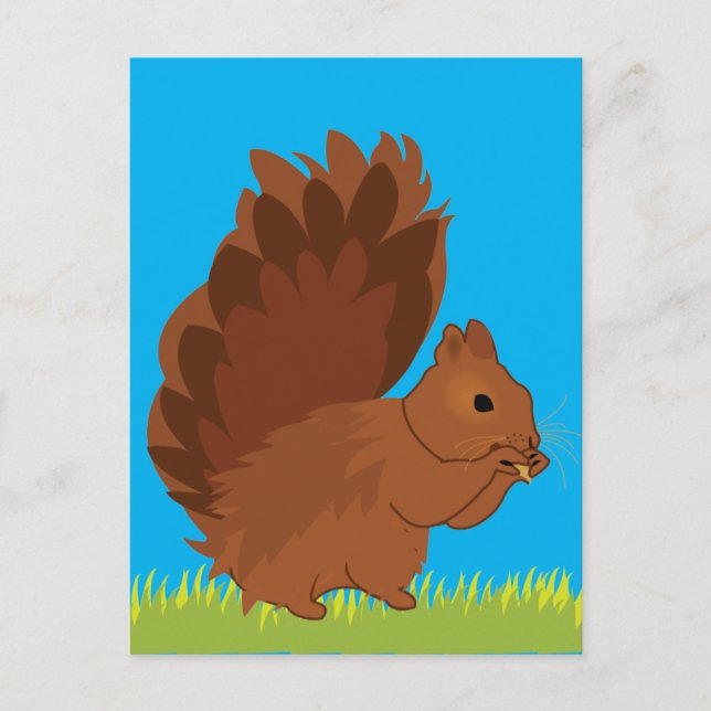 Carte Postale Écureuil Animal  (Devant)