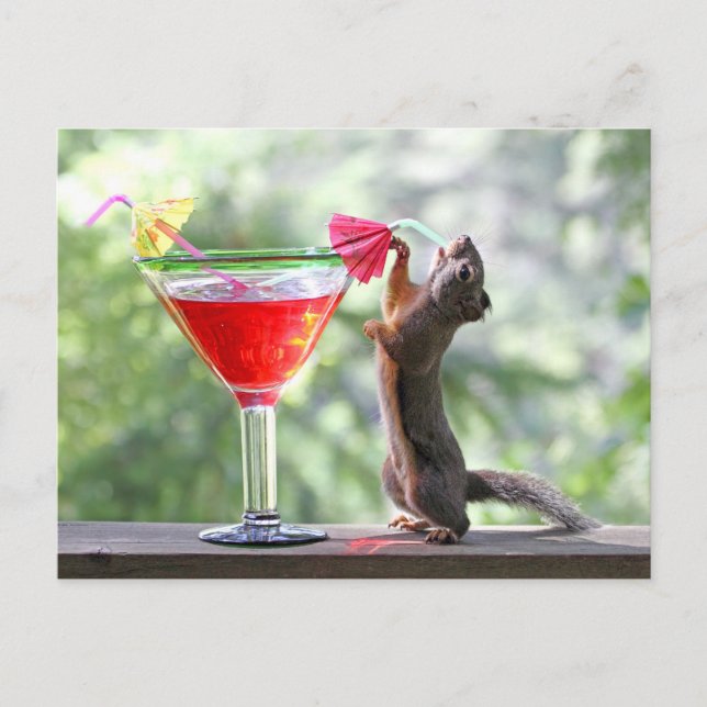 Carte Postale Écureuil buvant un cocktail à l'heure heureuse (Devant)