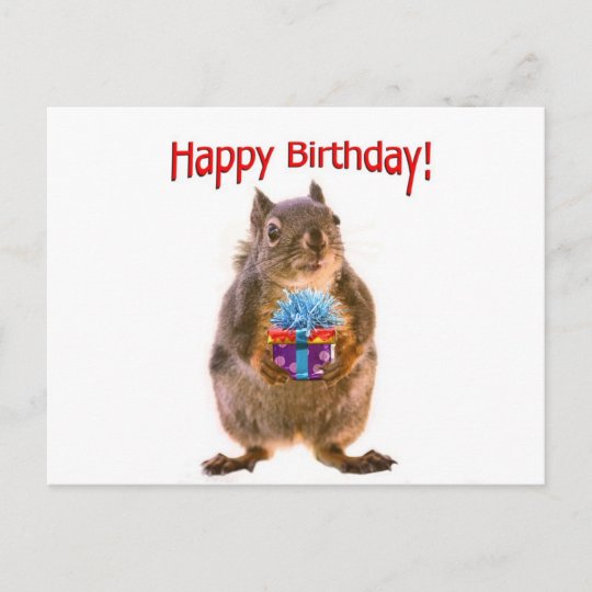 Carte Postale Ecureuil De Joyeux Anniversaire Avec Le Present Zazzle Fr