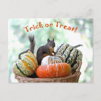 Carte Postale Écureuil d'Halloween