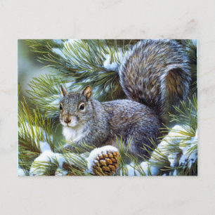 Carte Postale Écureuil d'hiver