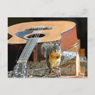 Carte Postale Écureuil et guitare