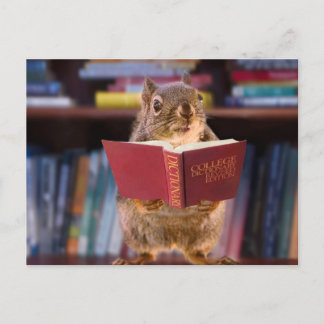 Carte Postale Écureuil intelligent Lecture d'un dictionnaire