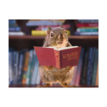 Écureuil intelligent Lecture d'un dictionnaire