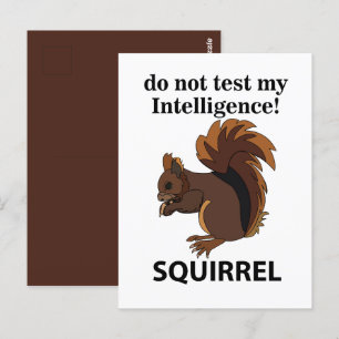 Carte Postale Écureuil N'essayez Pas De Tester Mon Intelligence