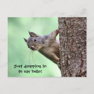 Carte Postale Écureuil sur un arbre
