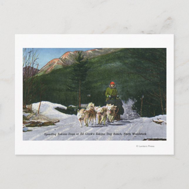 Carte Postale Ed Clark's Eskimo Dog Ranch, Dogsledding (Devant)