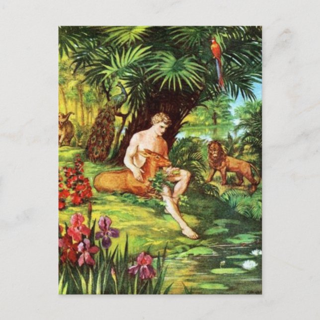 Carte Postale Eden Adam Dans Le Jardin (Devant)