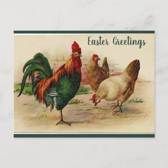 Carte Postale Editable Rooster and Hens Easter (Devant)