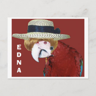 CARTE POSTALE EDNA