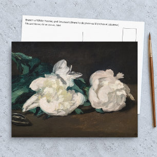 Carte Postale Edouard Manet - Branche de pivoines blanches, séca