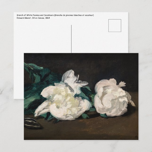 Carte Postale Edouard Manet - Branche des pivoines blanches, sec (Devant / Derrière)