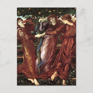 Carte Postale Edward Burne-Jones : Le Jardin Des Heserides