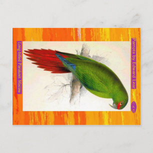 Carte Postale Edward Lear. Parakeet Macaw à long prix.