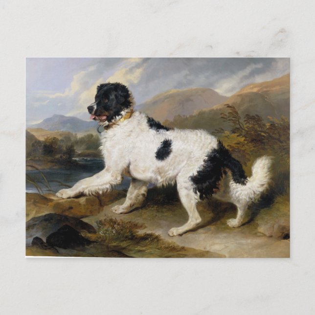 Carte Postale Edwin Henry Landseer Lion A Newfoundland Dog (Devant)