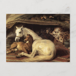 Carte Postale Edwin Landseer, la tente arabe