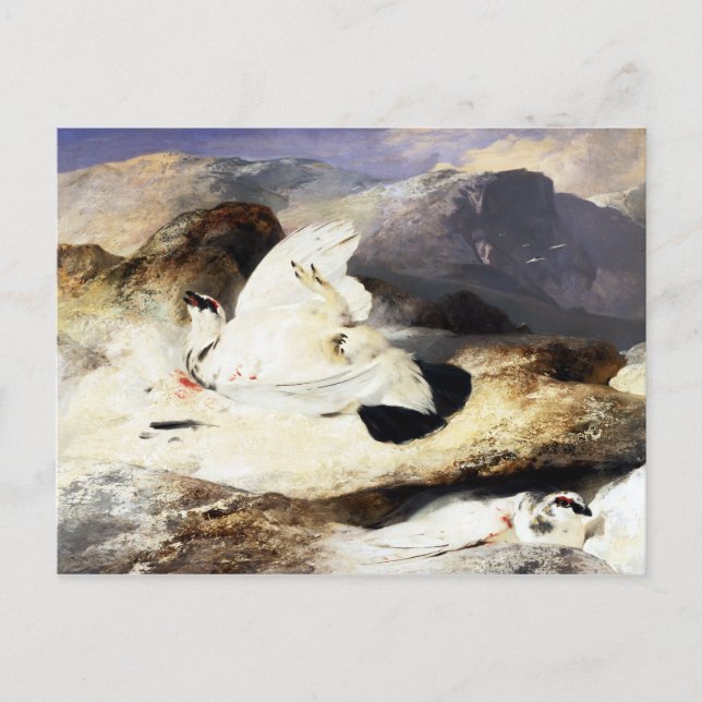 Carte Postale Edwin Landseer Ptarmigan dans un paysage (Devant)