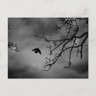 Carte Postale Eerie Bird en vol