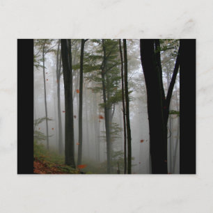 CARTE POSTALE EERIE FOREST TREES FEUILLES PLEINE COULEURS DE CHU