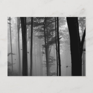 CARTE POSTALE EERIE FOREST TREIDS FEUILLE B&W